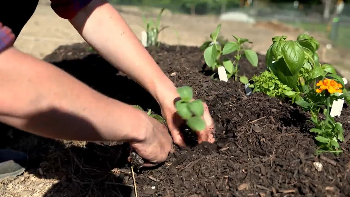 Building a Hugelkultur Raised Bed