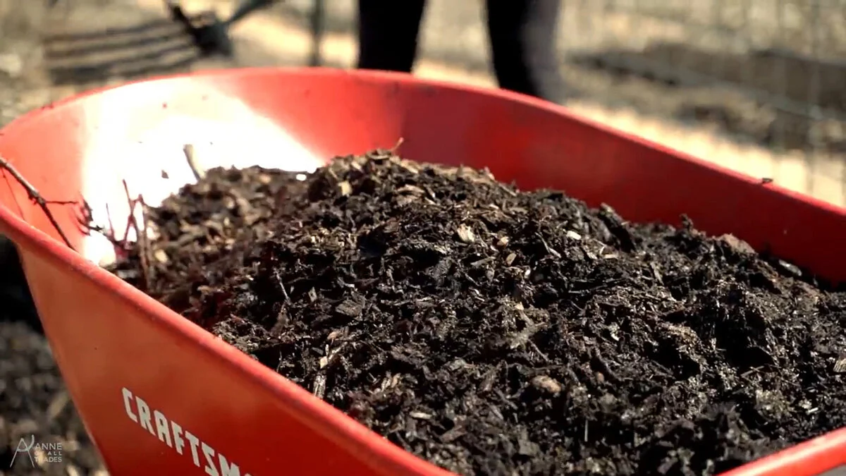 Everything You Need to Know About Backyard Composting